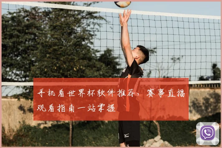 手机看世界杯软件推荐，赛事直播观看指南一站掌握