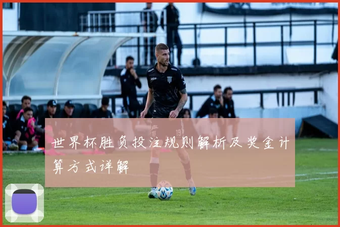 世界杯胜负投注规则解析及奖金计算方式详解