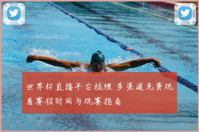 世界杯直播平台梳理 多渠道免费观看赛程时间与观赛指南