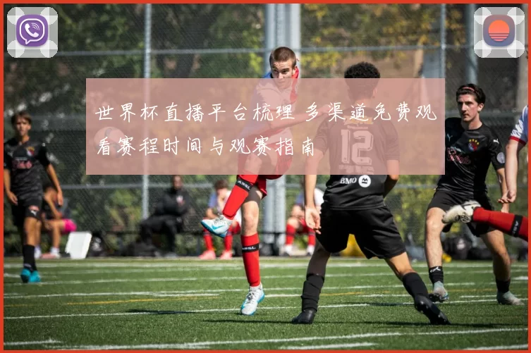 世界杯直播平台梳理 多渠道免费观看赛程时间与观赛指南