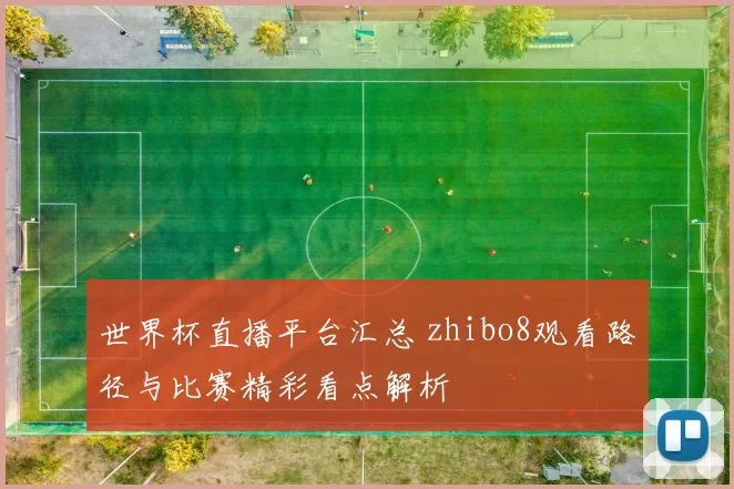 世界杯直播平台汇总 zhibo8观看路径与比赛精彩看点解析