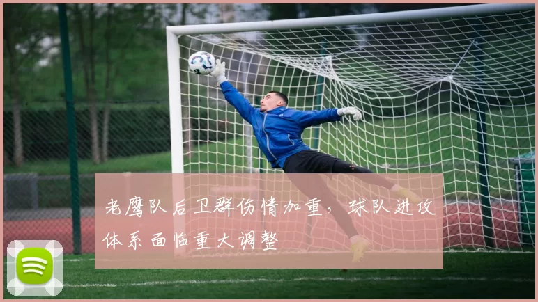 老鹰队后卫群伤情加重，球队进攻体系面临重大调整